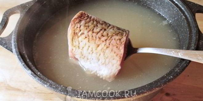 Рецепт ухи из язя