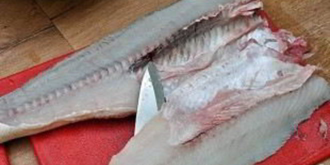 Рецепт ухи рыбацкой