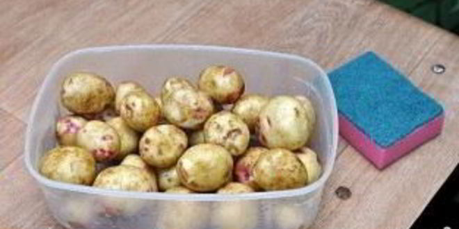 Рецепт ухи рыбацкой