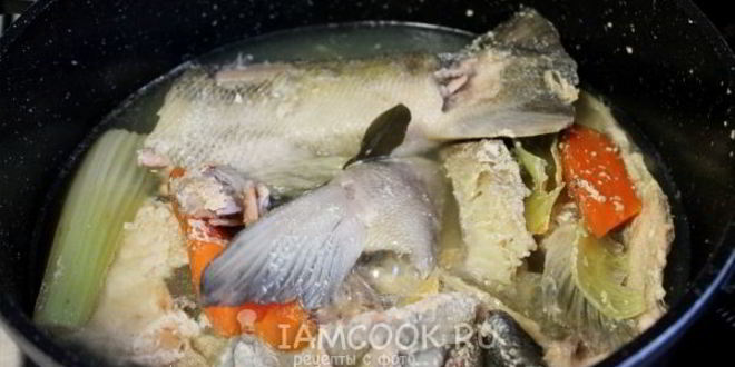 Рецепт ухи сборной