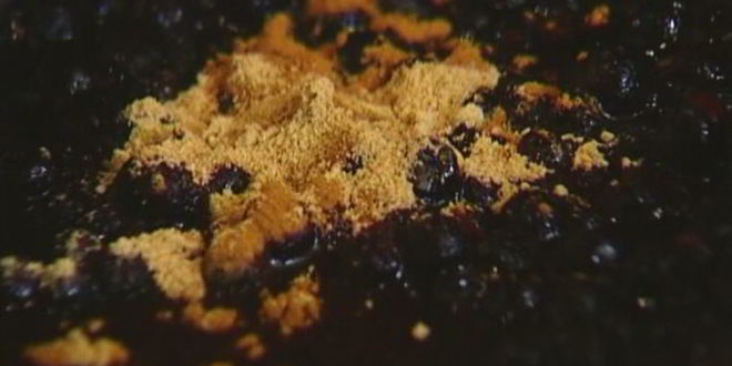 Рецепт блинчиков с черникой, имбирем и корицей