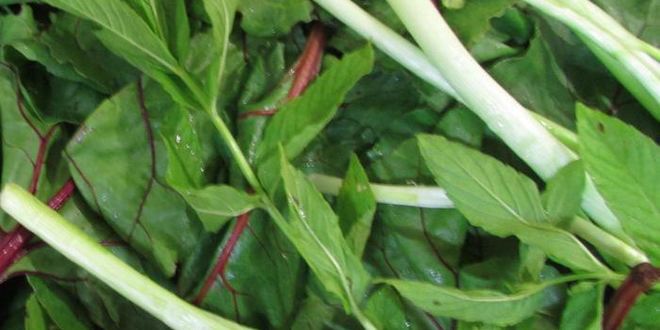 Рецепт булочек с листьями свеклы и свежим сыром