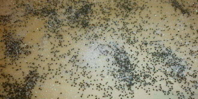 Рецепт плюшек с маком