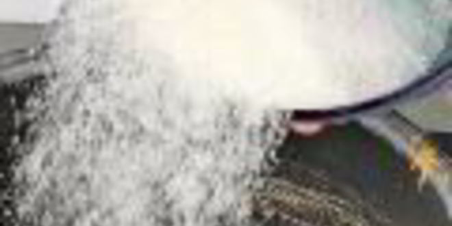 Рецепт апельсинового чизкейка с кумкватами