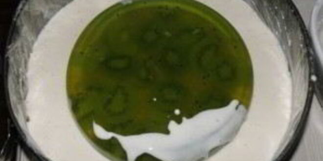 Рецепт чизкейка с киви без выпечки