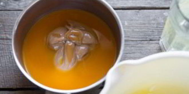 Рецепт тыквенного чизкейка без выпечки