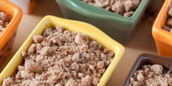 Рецепт тыквенного хлеба с ореховой посыпкой