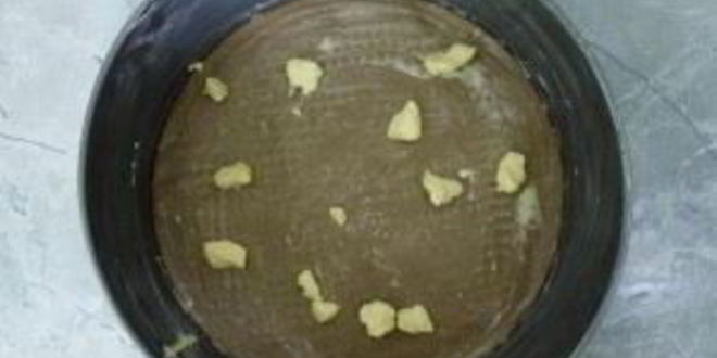 Рецепт банницы по-болгарски из лаваша