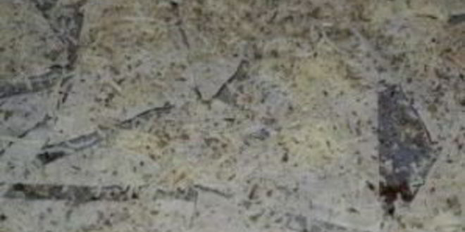 Рецепт лаваша в духовке