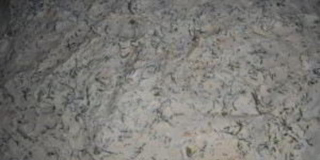 Рецепт рулета с творогом из лаваша