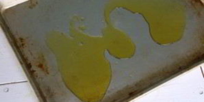 Рецепт фокаччи с маслинами и розмарином