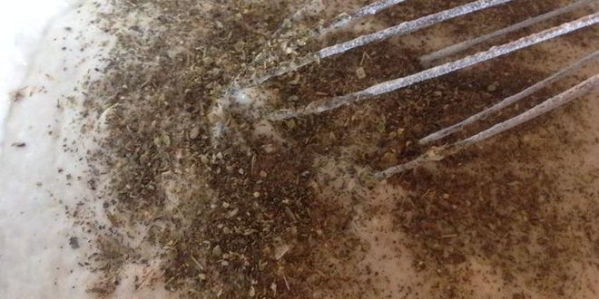 Рецепт фокаччи с томатами и базиликом