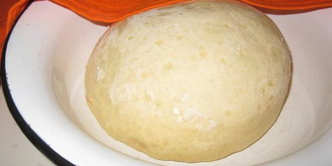 Рецепт лепешек на дрожжах и сухом молоке