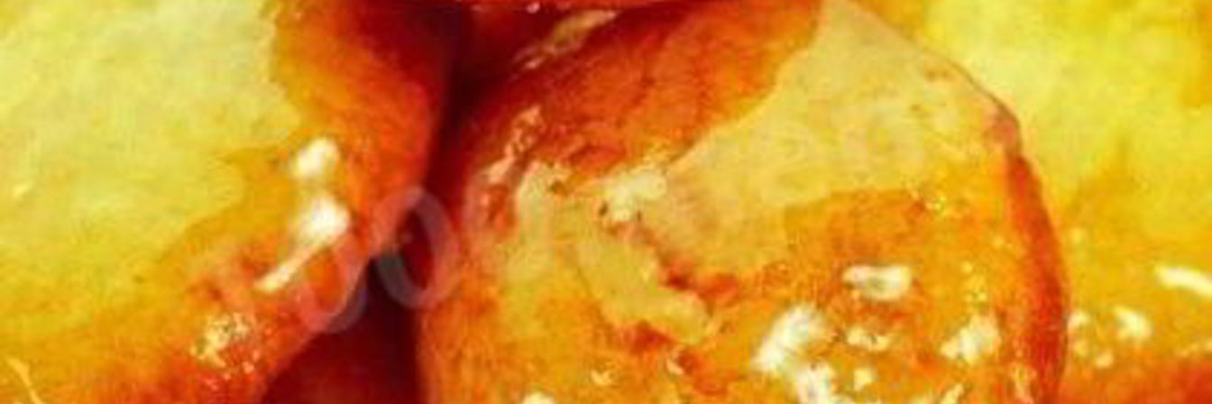 Рецепт Лепешек по-корейски квадюль