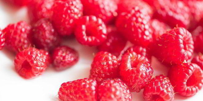 Рецепт сладкой фокаччи с лавандой, малиной и абрикосами