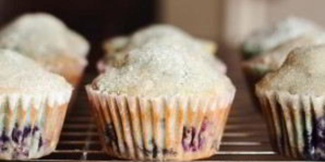 Рецепт лимонных маффинов с черникой