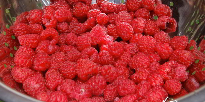 Рецепт малинового рулета