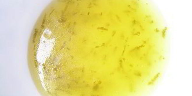 Рецепт апельсиновых оладий с лаймовым соусом