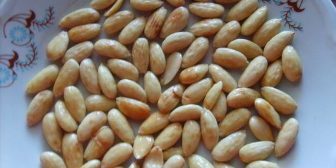 Рецепт миндального печенья день-ночь