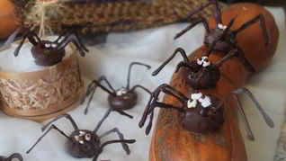 Рецепт Печенья Паучки