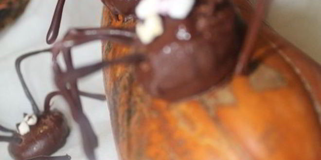 Рецепт печенья паучки