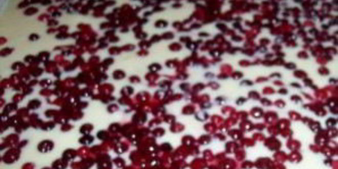 Рецепт брусничного пирога из песочного теста