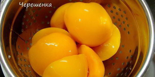 Рецепт творожного пирога с персиками