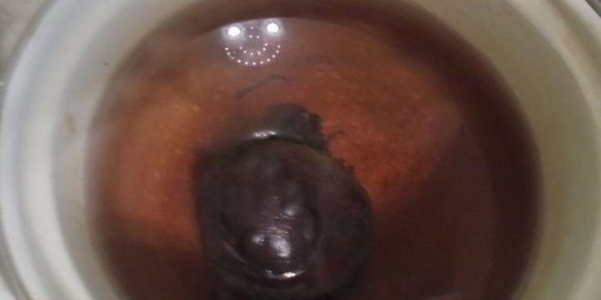 Рецепт пирожков из картофеля, жаренные в масле