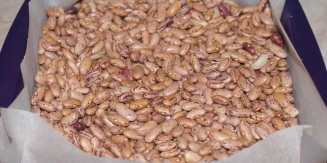 Рецепт апельсинового пирожного