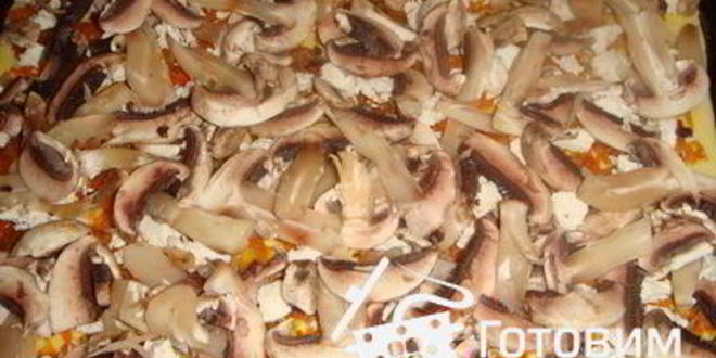 Рецепт пиццы грибной