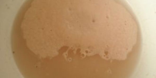 Рецепт пиццы с колбасой и пицца с морепродуктами