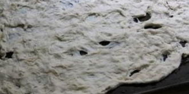 Рецепт пиццы с помидорами и базиликом