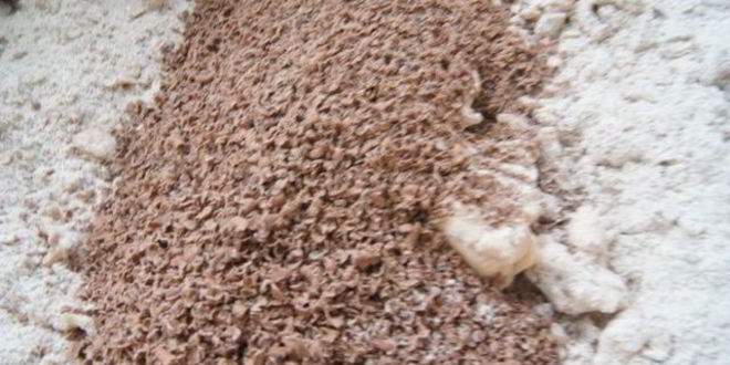 Рецепт шоколадных пряников вкусных подарки