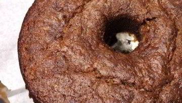 Рецепт Хлебной шарлотки из моркови