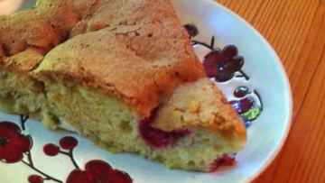 Рецепт Шарлотки с ревенем