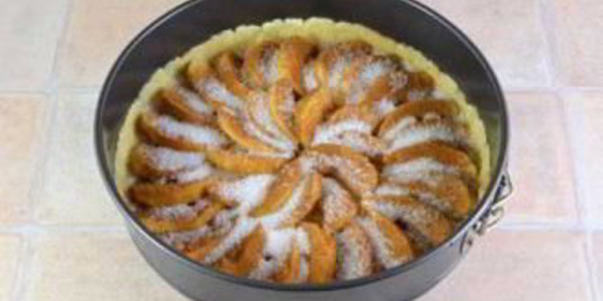 Рецепт шарлотки с яблоками открытая