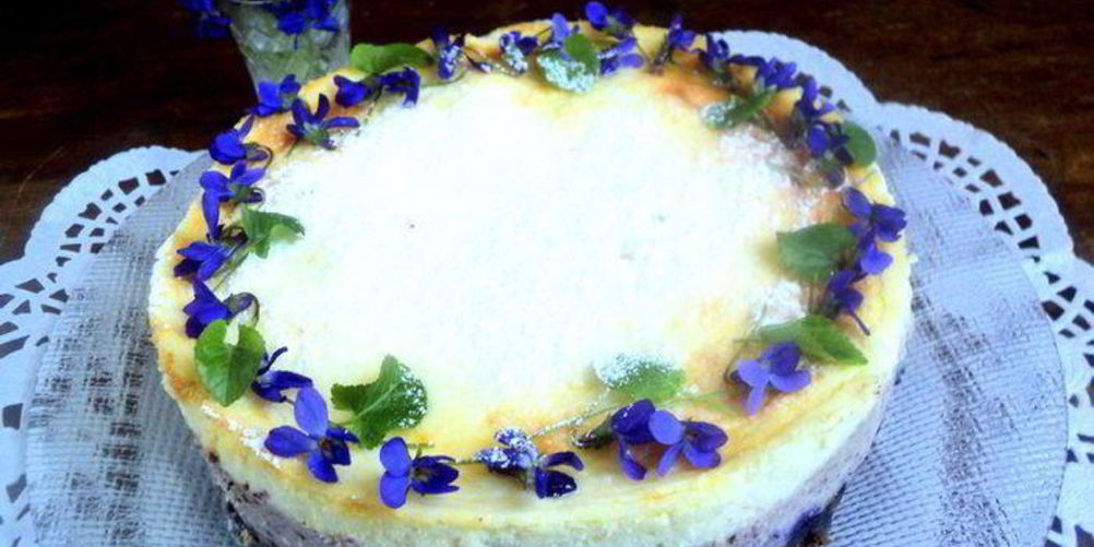 Как приготовить сырник с черникой фиалки