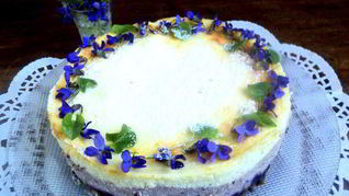 Рецепт Сырника с черникой Фиалки