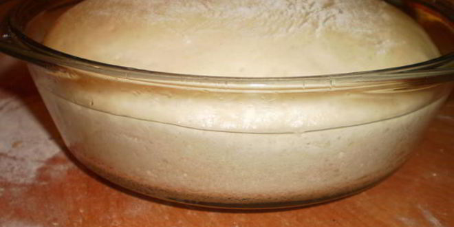 Рецепт теста для пиццы и открытых пирогов