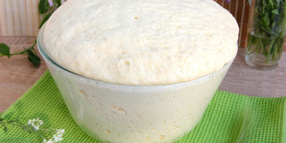 Как приготовить тесто для ватрушек на сухих дрожжах