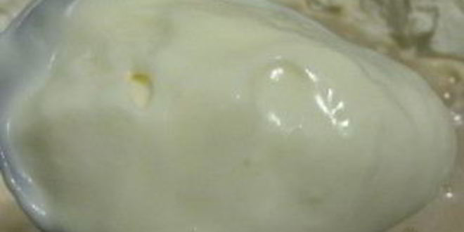 Рецепт теста на майонезе для пиццы