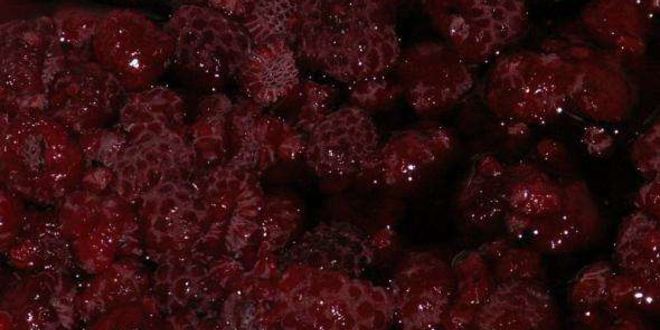 Рецепт торта бисквитного