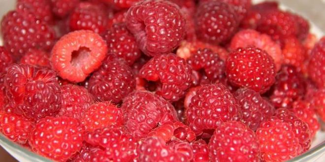 Рецепт торта день рождения