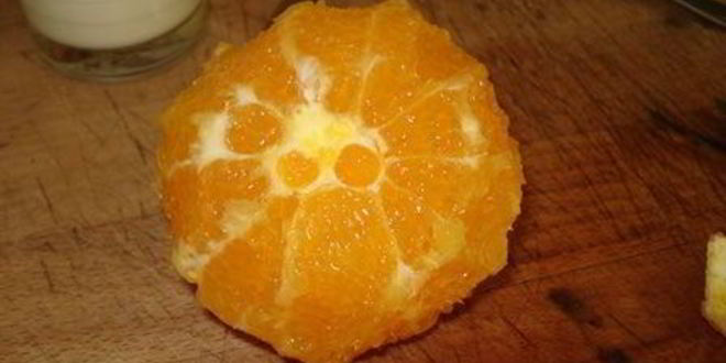 Рецепт торта ибица