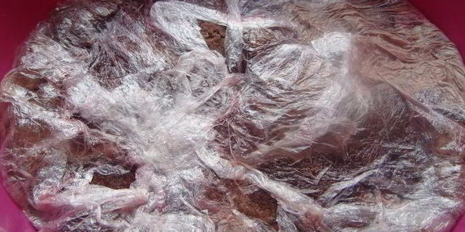 Рецепт торта ленивого черного лес