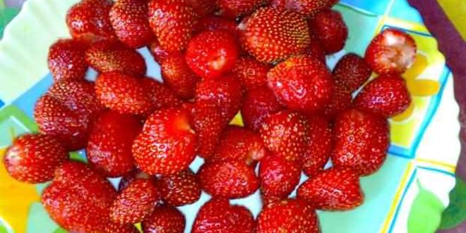 Рецепт торта зефирного