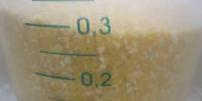 Рецепт закусочного торта из поленты с сыром