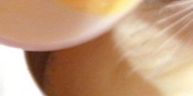 Рецепт эклеров шоколадных