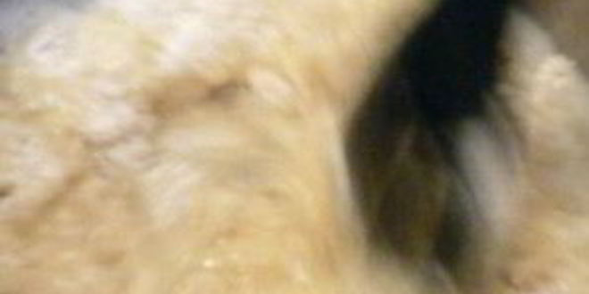 Рецепт эклеров шоколадных