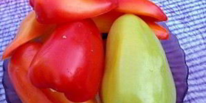 Рецепт аджики из помидоров без чеснока